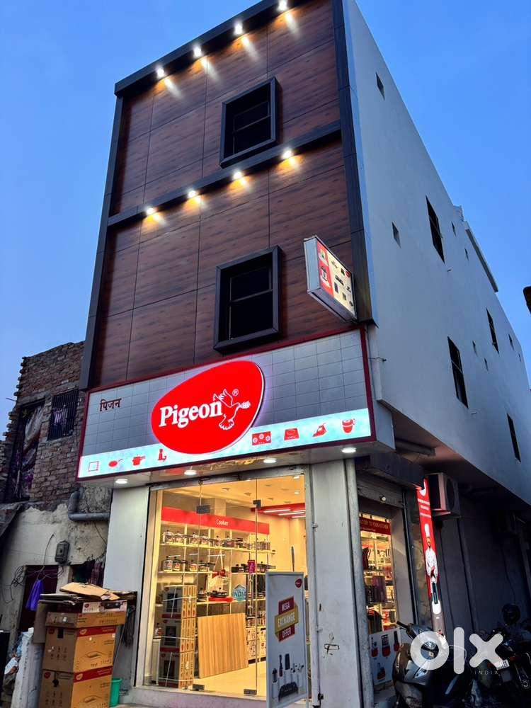 Pigeon Exclusive Store - Beed